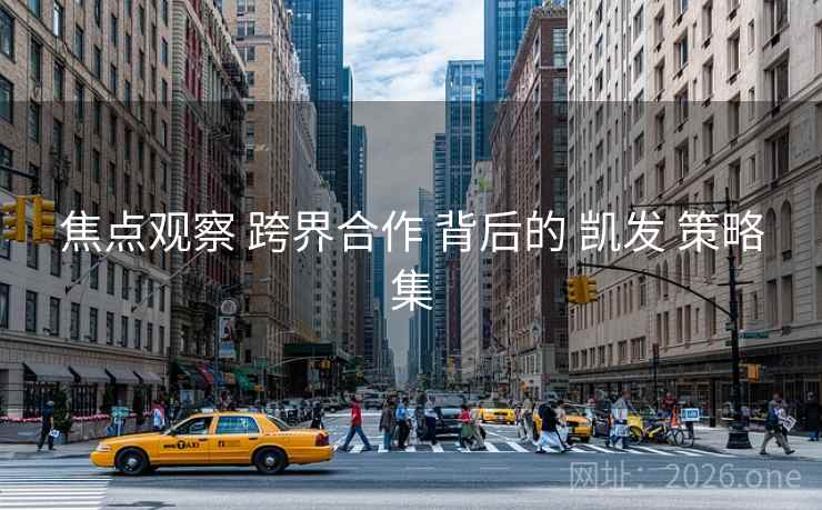 焦点观察 跨界合作 背后的 凯发 策略集 焦点观察 跨界合作 背后的 凯发 策略集