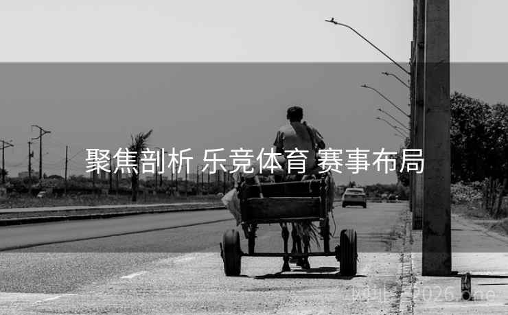 聚焦剖析 乐竞体育 赛事布局