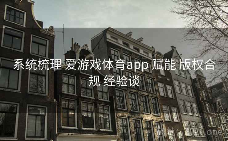 系统梳理 爱游戏体育app 赋能 版权合规 经验谈