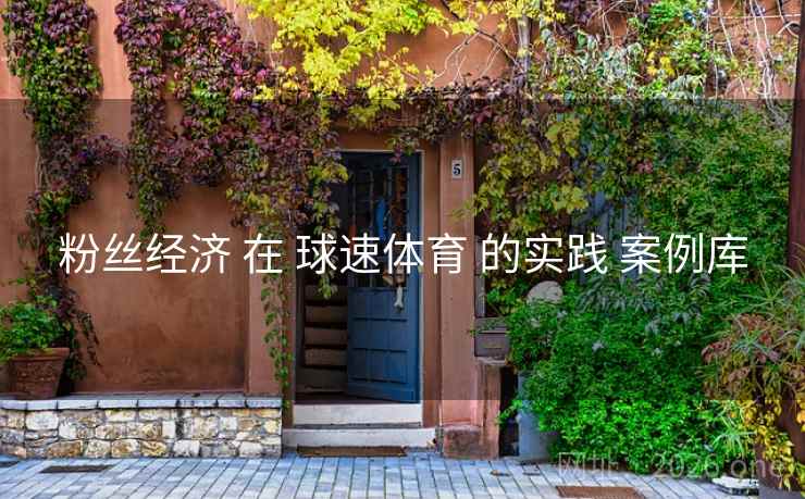 粉丝经济 在 球速体育 的实践 案例库