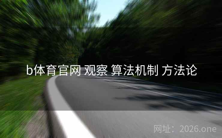 b体育官网 观察 算法机制 方法论