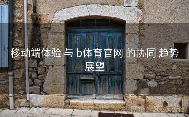 移动端体验 与 b体育官网 的协同 趋势展望